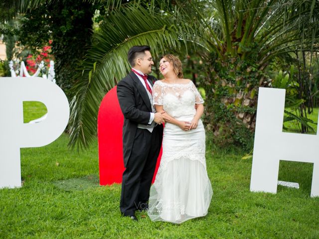 La boda de Paris y Haydeé en Tlalpan, Ciudad de México 13