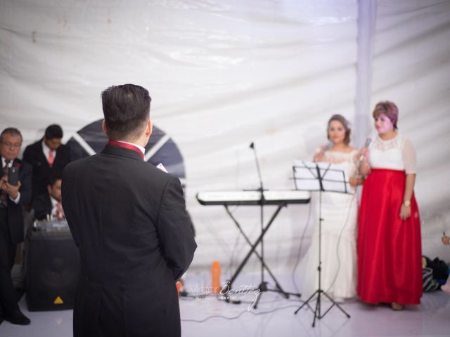 La boda de Paris y Haydeé en Tlalpan, Ciudad de México 14