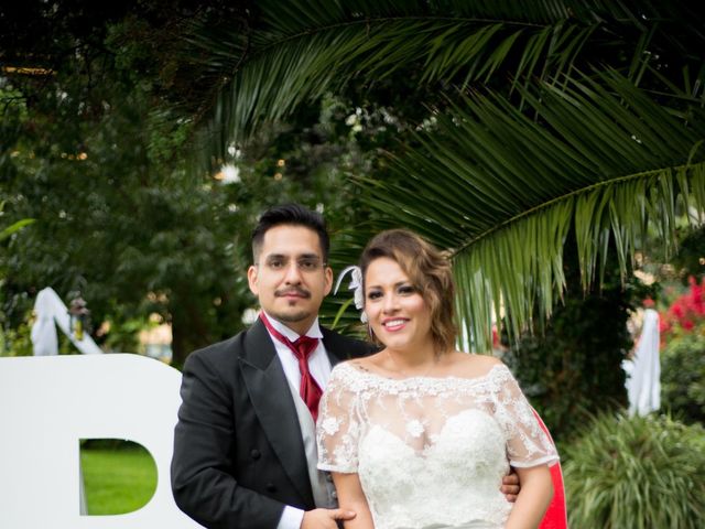 La boda de Paris y Haydeé en Tlalpan, Ciudad de México 45