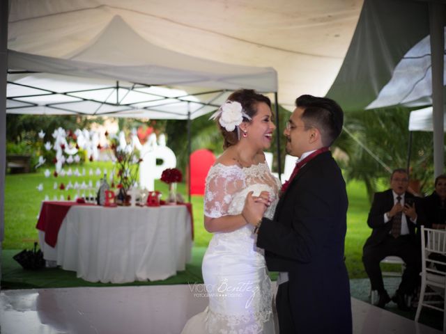 La boda de Paris y Haydeé en Tlalpan, Ciudad de México 61