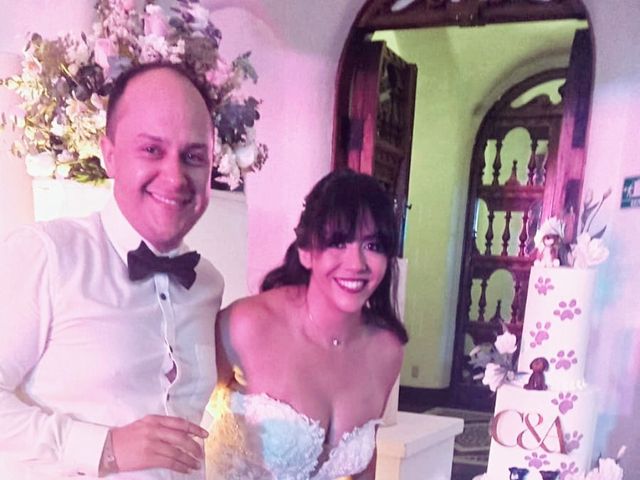 La boda de Christiam  y Alejandra  en Manzanillo, Colima 25
