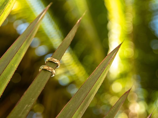 La boda de Fernando y Dalila en La Huerta, Jalisco 2