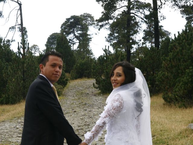 La boda de Juan Francisco y Distena en Temoaya, Estado México 21