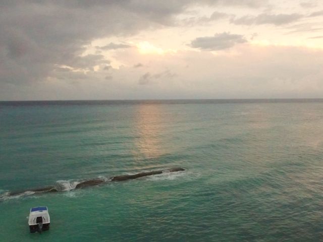 La boda de Omar y Renato en Playa del Carmen, Quintana Roo 8