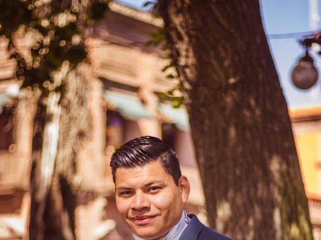 La boda de Hermes y Dany en San Luis Potosí, San Luis Potosí 11