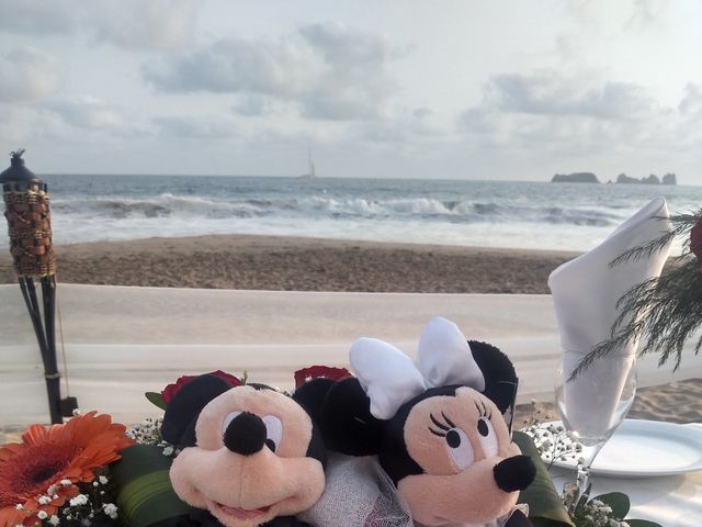 La boda de Arturo y Laida en Ixtapa Zihuatanejo, Guerrero 3