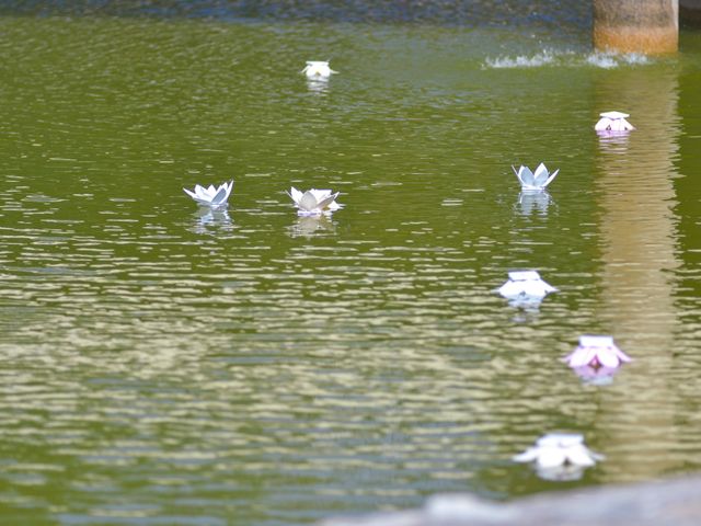 La boda de Roberto y Anita en San Cristóbal de las Casas, Chiapas 52