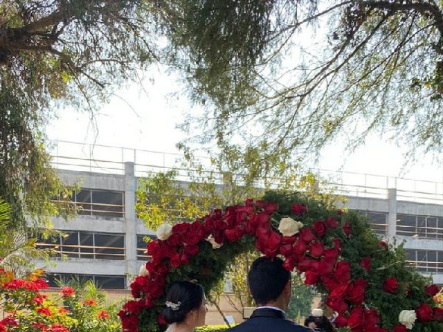 La boda de Guillermo  y Andrea  en Tlalpan, Ciudad de México 1