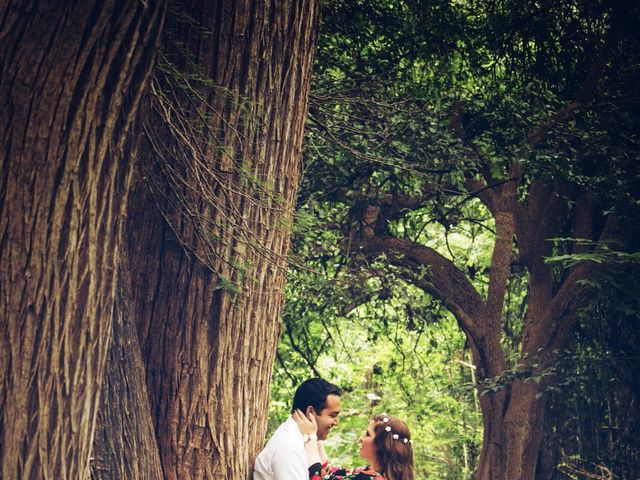 La boda de Alex y Estefani en Monterrey, Nuevo León 1