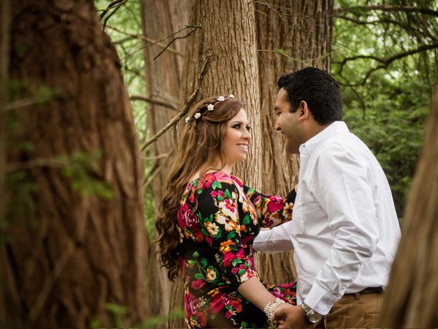 La boda de Alex y Estefani en Monterrey, Nuevo León 7