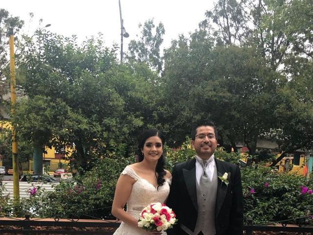 La boda de Claudia  y Fernando  en Venustiano Carranza, Ciudad de México 20