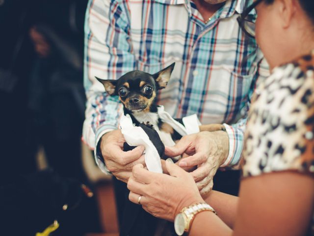 La boda de Óscar y Laura en Veracruz, Veracruz 5