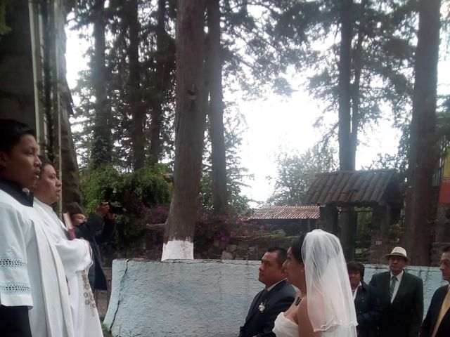 La boda de Luis y Noemi en Amecameca, Estado México 35