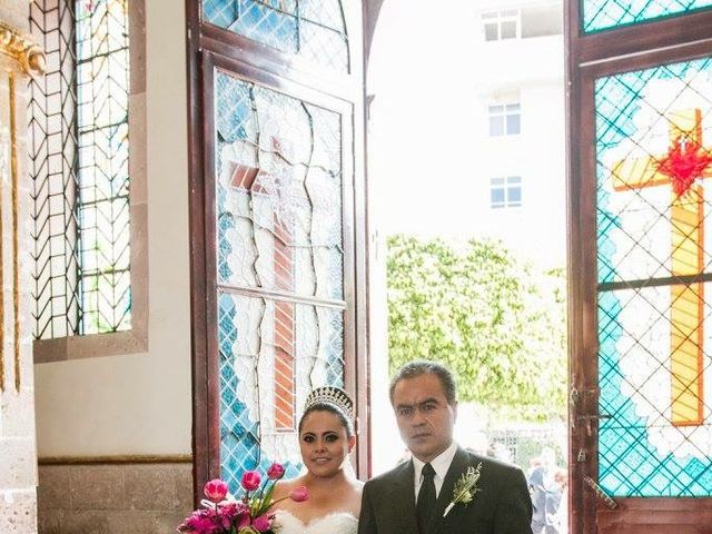 La boda de Sergio David y Ana Paula en Irapuato, Guanajuato 17