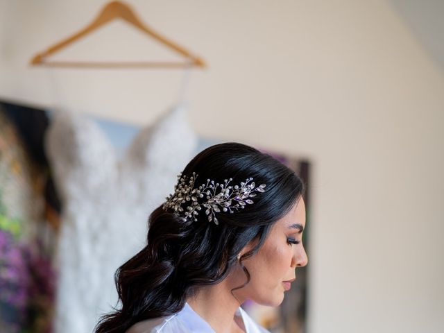 La boda de Jesus y Aidé en Sahuayo, Michoacán 8