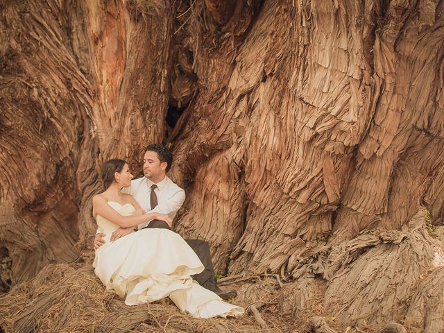 La boda de Hugo y Lizz en Chilcuautla, Hidalgo 1