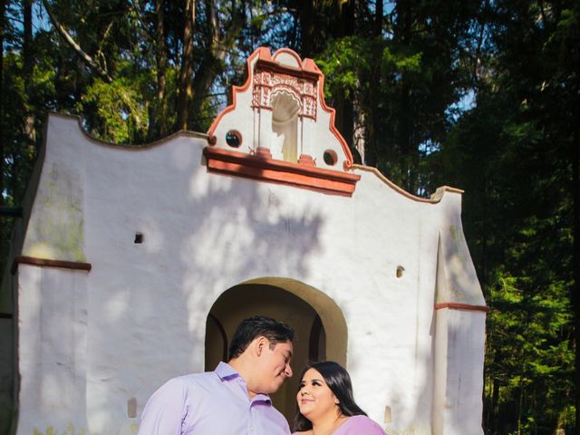 La boda de Atza y Mariana en Álvaro Obregón, Ciudad de México 5