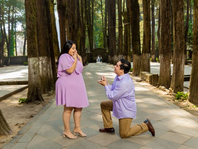 La boda de Atza y Mariana en Álvaro Obregón, Ciudad de México 6