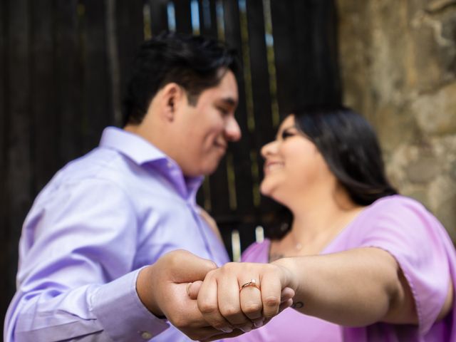 La boda de Atza y Mariana en Álvaro Obregón, Ciudad de México 7