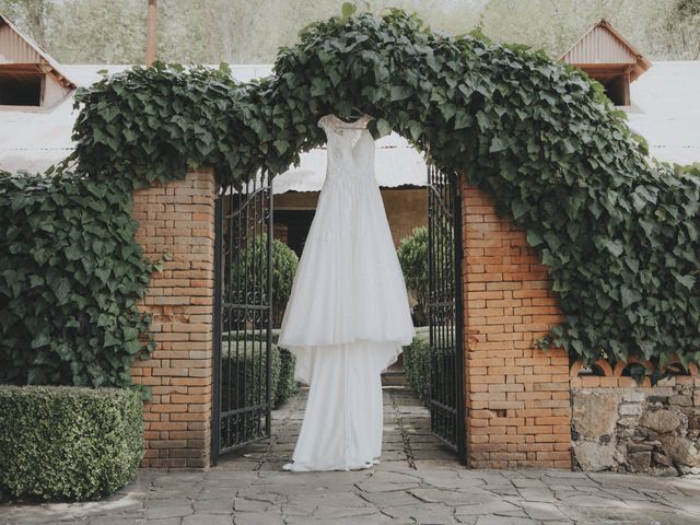 La boda de Eloin y Paulina en Omitlán de Juárez, Hidalgo 1