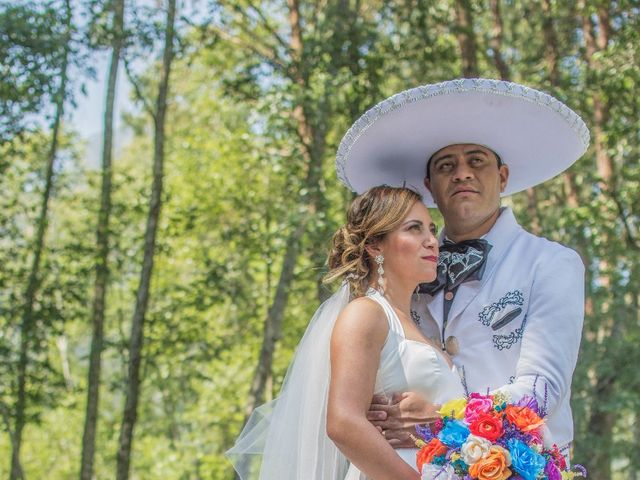 La boda de Iván  y Elizabeth  en Alpatláhuac, Veracruz 10
