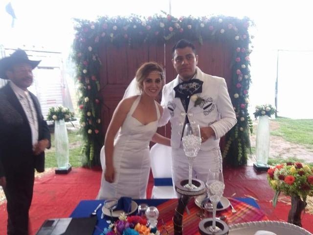 La boda de Iván  y Elizabeth  en Alpatláhuac, Veracruz 14