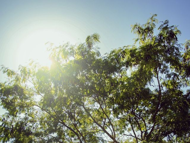 La boda de Esteban y Miriam en Victoria, Tamaulipas 29
