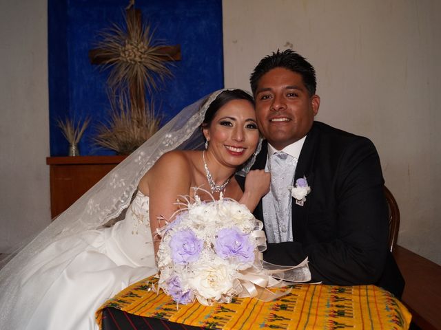 La boda de Javier y Ceci en Coyoacán, Ciudad de México 13