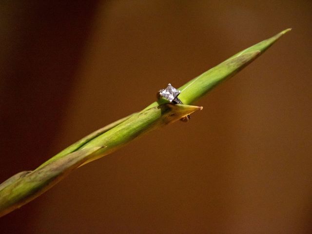 La boda de Luis y Beatriz en Puebla, Puebla 1