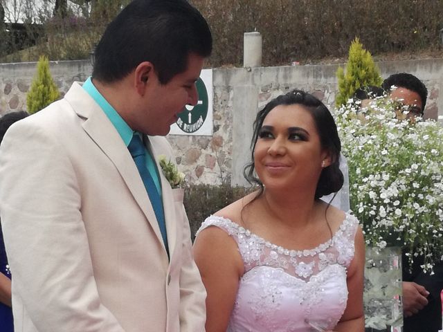 La boda de Daniel  y Arely  en Tepeji del Río, Hidalgo 11