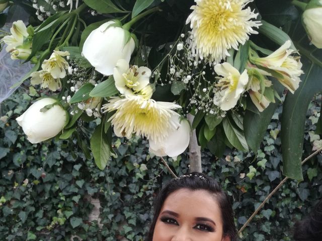 La boda de Daniel  y Arely  en Tepeji del Río, Hidalgo 12