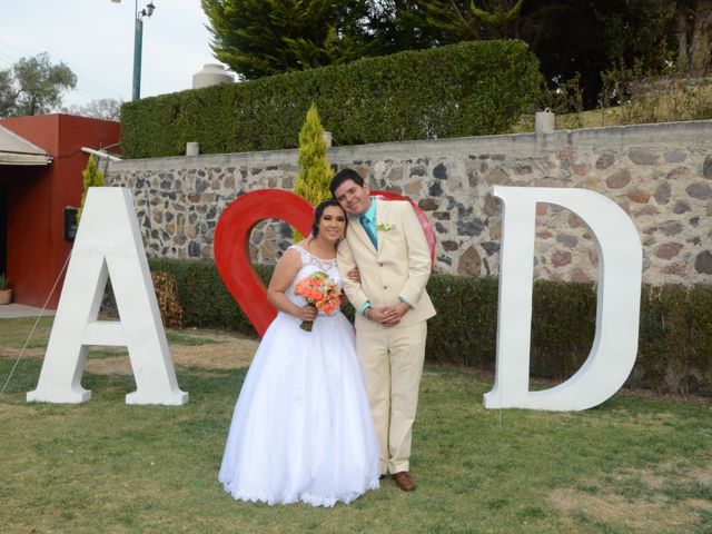 La boda de Daniel  y Arely  en Tepeji del Río, Hidalgo 17