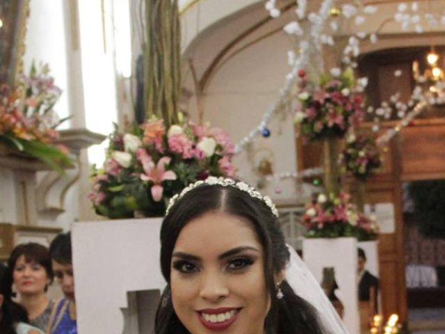 La boda de Carlos  y Brenda  en Orizaba, Veracruz 7