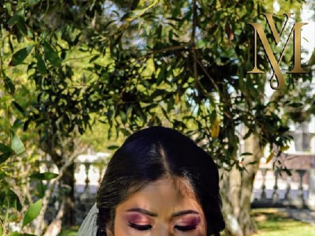 La boda de Manolo y Rocío en Ixtlahuaca, Estado México 5