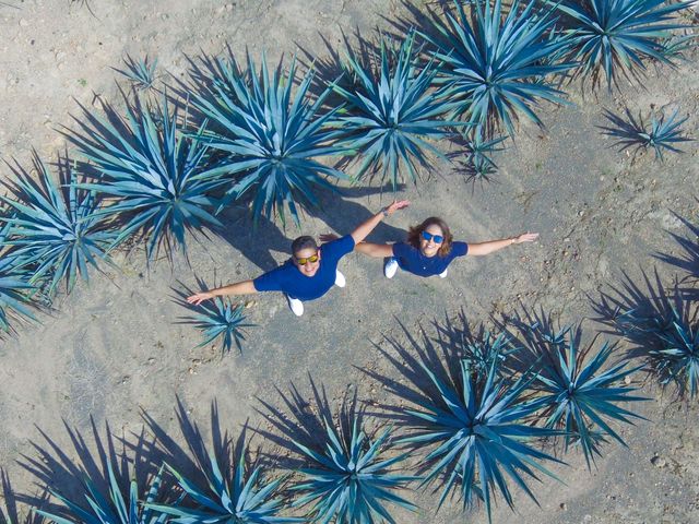 La boda de Fernando y Daniela en Tlajomulco de Zúñiga, Jalisco 1
