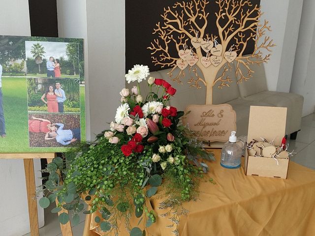 La boda de Miguel Ángel  y Alejandra en Los Reyes, Michoacán 6