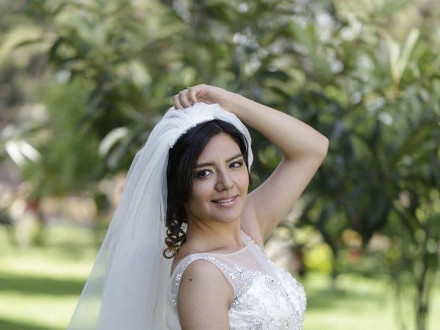 La boda de Miguel y Amaranta en Tlalpan, Ciudad de México 5