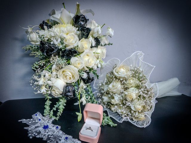 La boda de Mauricio y Diana en Miguel Hidalgo, Ciudad de México 37