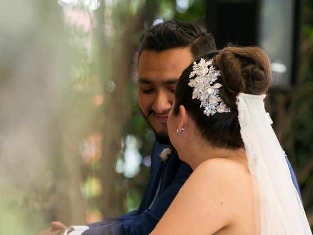La boda de Román y Itzel en Tlalpan, Ciudad de México 35