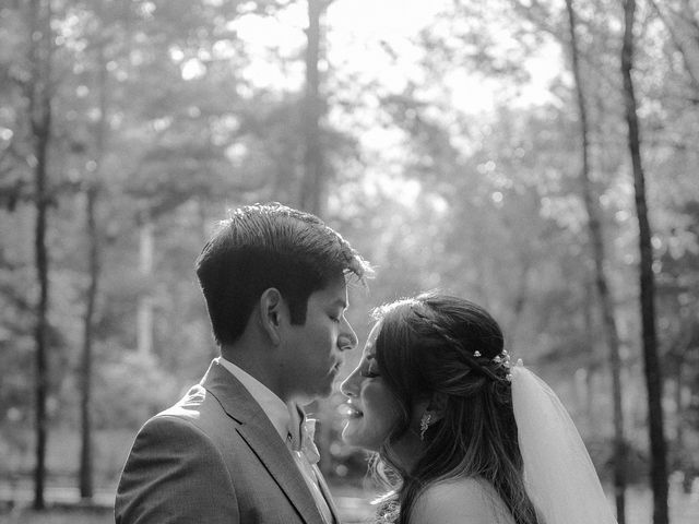 La boda de Omar y Pati en Coyoacán, Ciudad de México 62