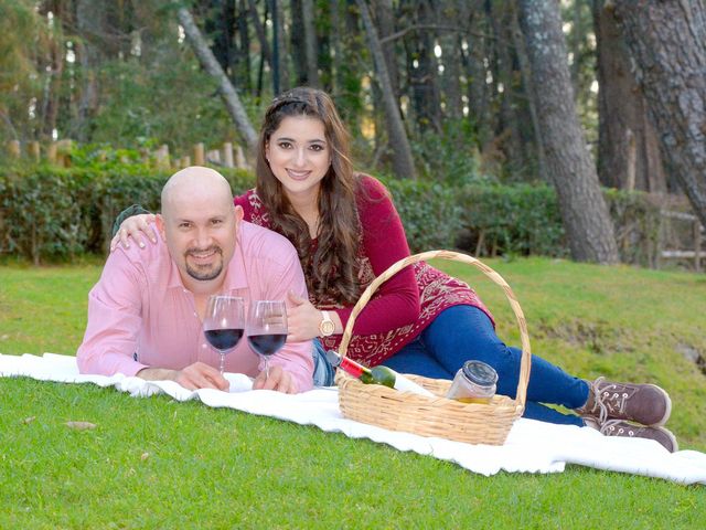 La boda de Julio y Estefany en Tlajomulco de Zúñiga, Jalisco 1