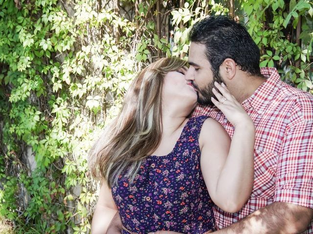 La boda de Pablo Alonso  y Viviana  en Mexicali, Baja California 26