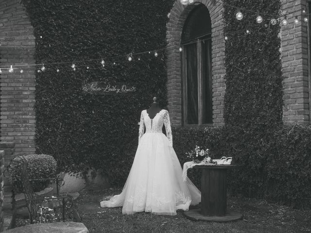 La boda de Ivan y Yuri en Omitlán de Juárez, Hidalgo 10