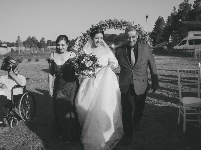 La boda de Ivan y Yuri en Omitlán de Juárez, Hidalgo 31