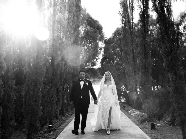 La boda de Rigel y Mariana en Jojutla, Morelos 18