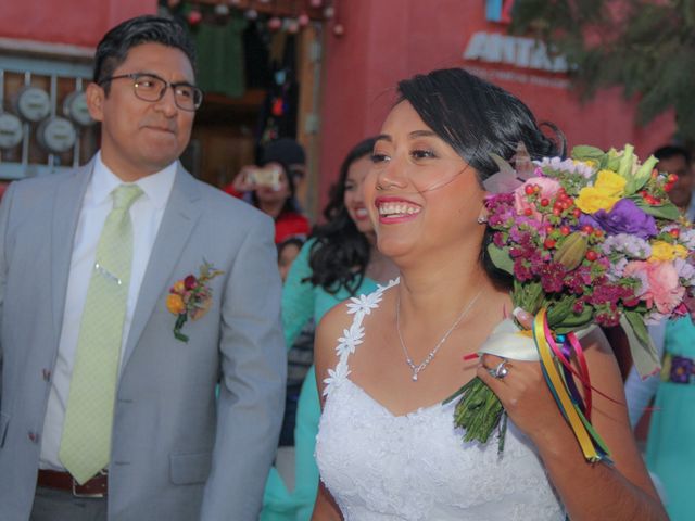 La boda de Carlos y Minerva en Santa Lucía del Camino, Oaxaca 1