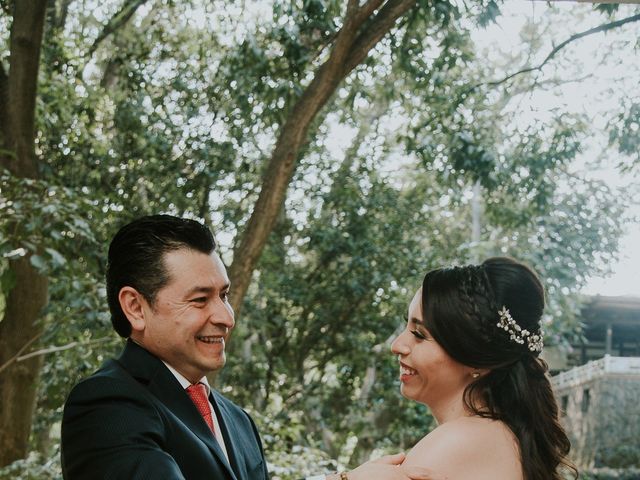 La boda de Luis y Steph en Jiutepec, Morelos 20
