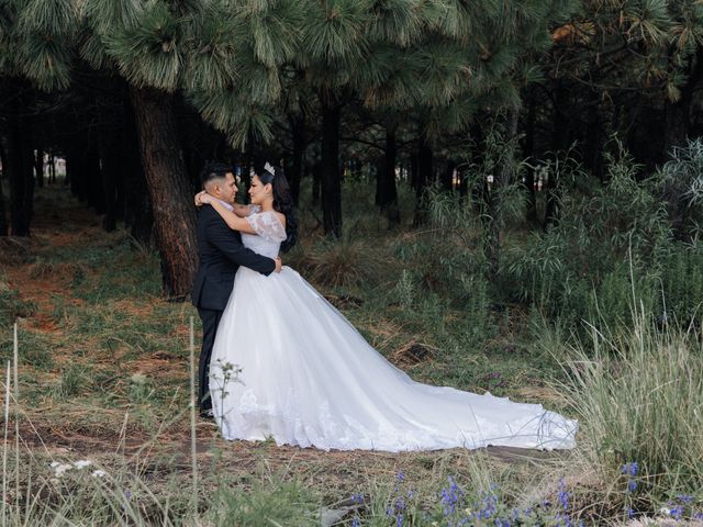 La boda de Carlos y Daniela en Cuautitlán Izcalli, Estado México 101