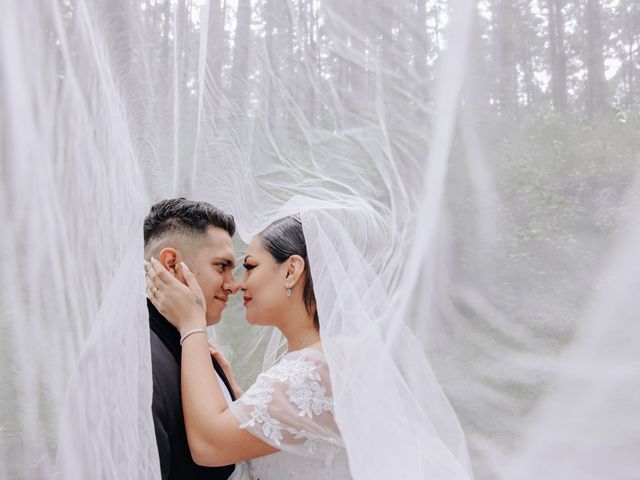 La boda de Carlos y Daniela en Cuautitlán Izcalli, Estado México 103