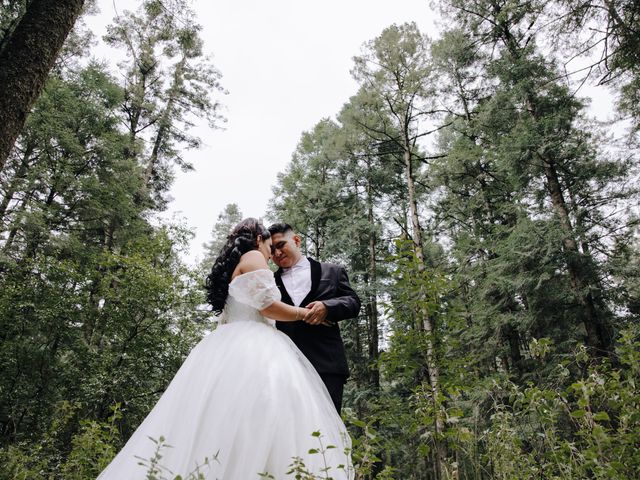 La boda de Carlos y Daniela en Cuautitlán Izcalli, Estado México 106